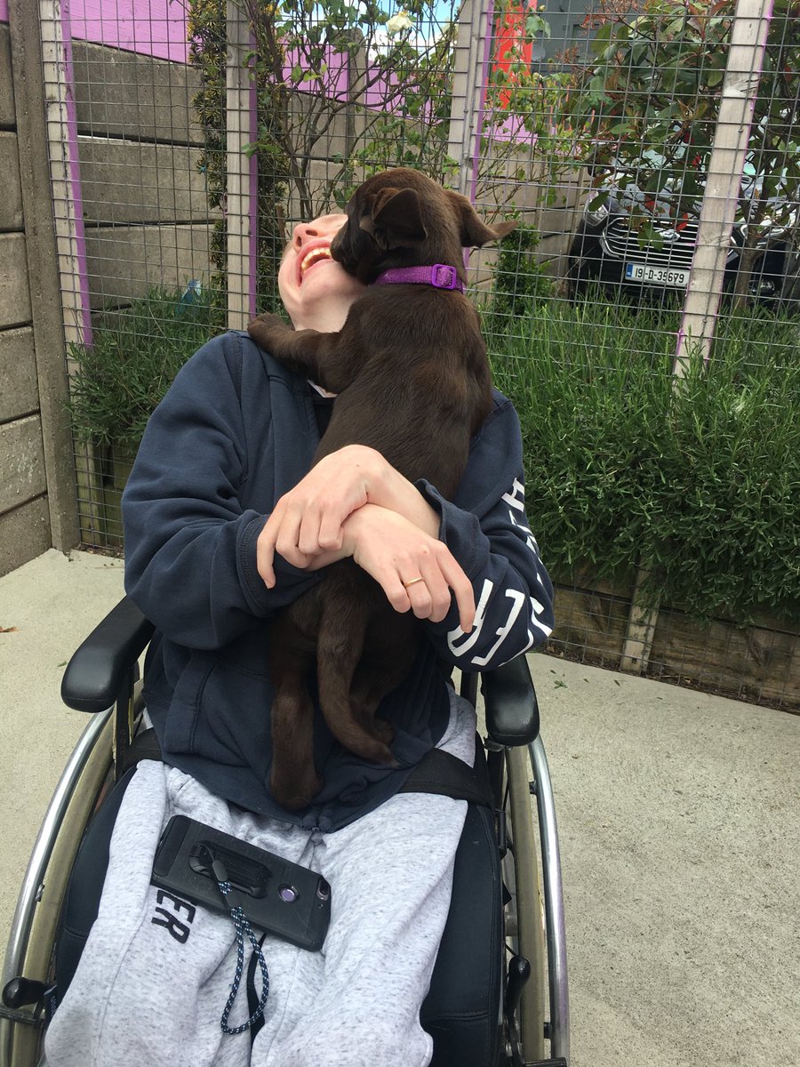 Dear Twitter. There are good days in life and bad days. This is Eoghan - he had major spinal surgery last September. Today he met the Puppies from ⁦<a href="/DogsforDisable1/">DogsForTheDisabled</a>⁩ Today was a Good Day! Please RT &amp; ❤️ the unparalleled joy on a young man’s face - He’s had a v tough year!
