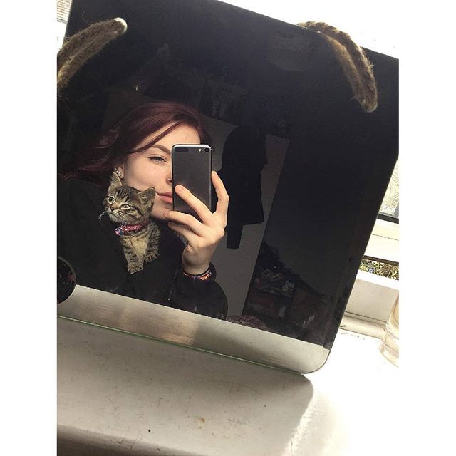 BeckahWheeldon's tweet photo. I looked at the camera but the kitty looked at the fly on the window🤔 #kitty #redhead #grungeaesthetic #retroaesthetic https://t.co/qh9xDgDSkx https://t.co/dIgbBhRn5m