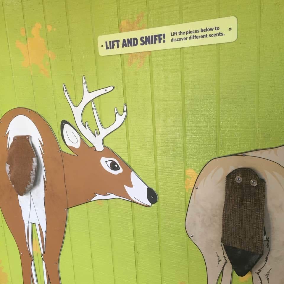 IsHuman4's tweet image. 