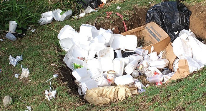 Sick of seeing this? Be. The. Change. Request containers made from plants not styrofoam! 
#ecoislandpackaging #packaging #ecofriendly #ecopackaging #foodcontainer #sustainable #sustainablepackaging #plasticfree #environment @learninghubja