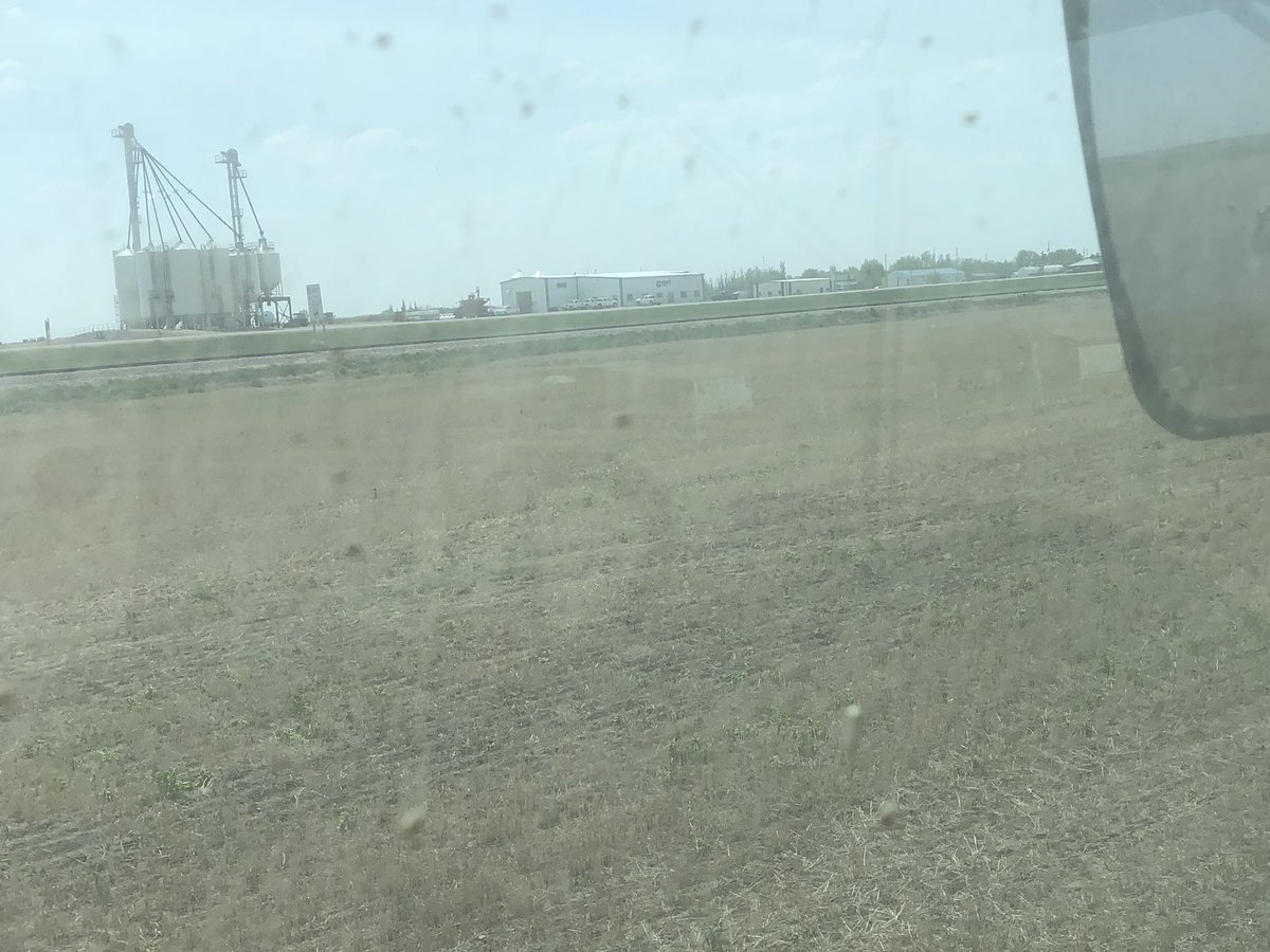 SeCanLauren's tweet photo. Seeding the #LuckyLake #Sask Rink land with my buddy Big Steve! #feed #barley #LuckyLakeCommunityCentre #smalltown #charity #plant19 @stevene1son #highway45 https://t.co/0s4mcbBqOm