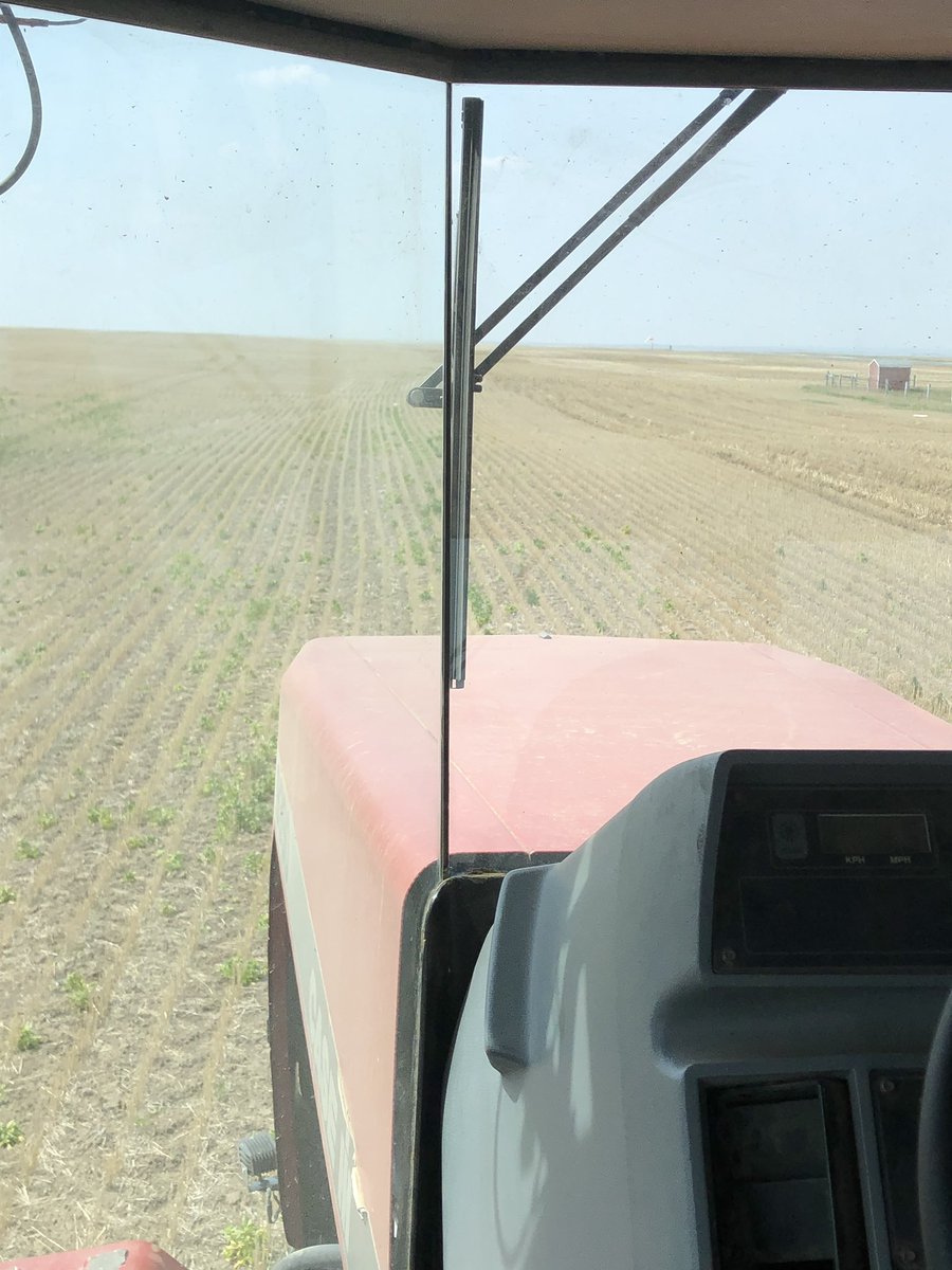 SeCanLauren's tweet photo. Seeding the #LuckyLake #Sask Rink land with my buddy Big Steve! #feed #barley #LuckyLakeCommunityCentre #smalltown #charity #plant19 @stevene1son #highway45 https://t.co/0s4mcbBqOm