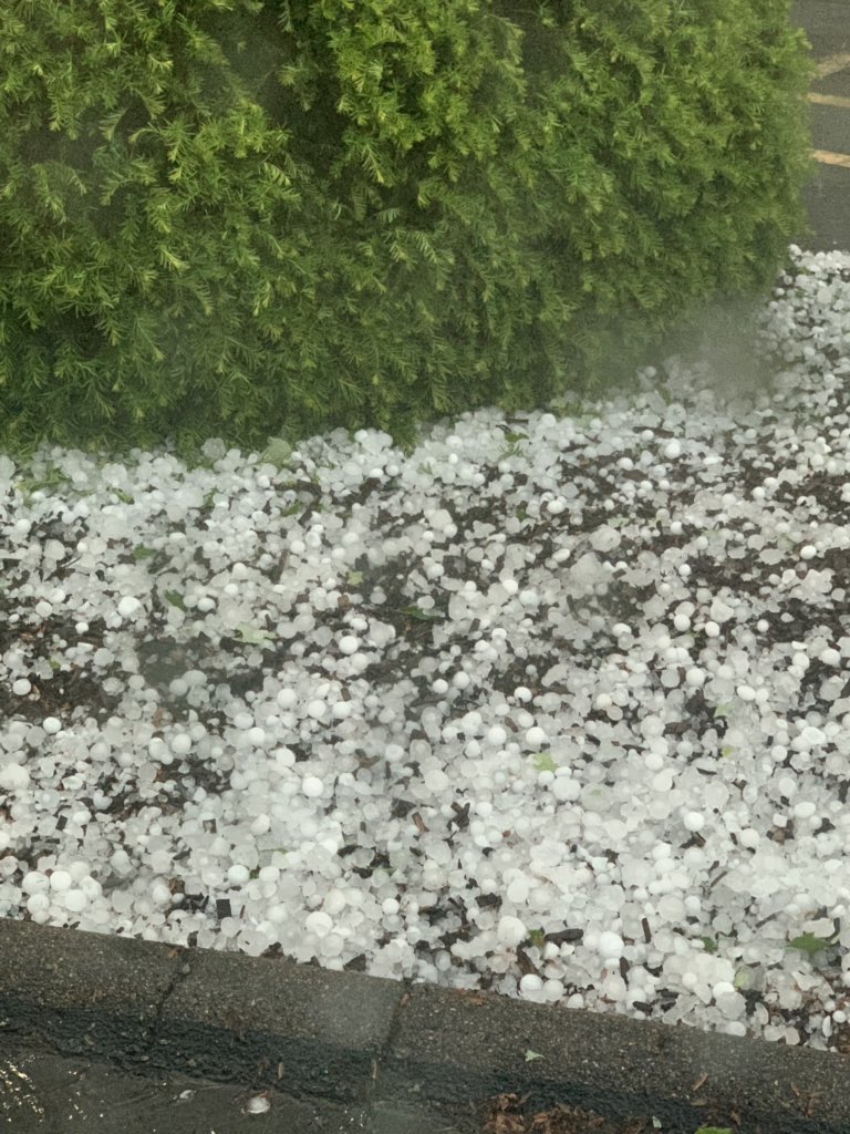 FishJrEsquire's tweet image. Armageddon