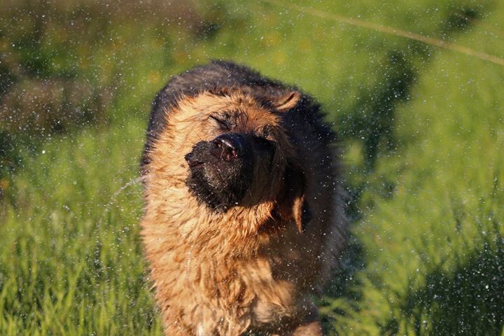 Oldburkie's tweet image. Kush spin cycle 2