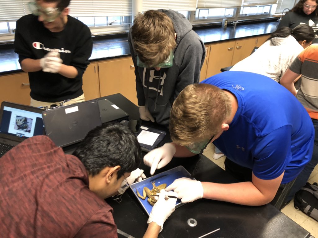 zentroutbum's tweet photo. Who doesn’t love a good frog dissection? #bioclass https://t.co/IxwrTMu65N