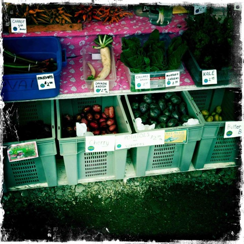 AlaskanSuites's tweet image. The wonderful Homer Farmers Market is now open for the summer! Head on down and be happy and healthy with all they have to offer...
Wednesdays 2pm-5pm
Saturdays 10am-3pm