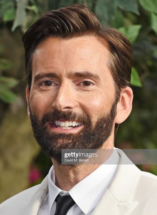 David Tennant at the Good Omens London premiere - Tuesday 28th May 2019