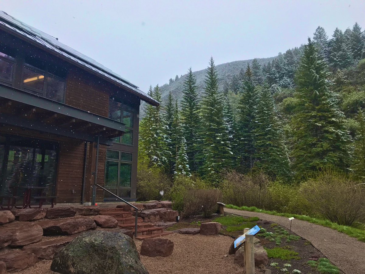 Miki_Salamon's tweet photo. A very beautiful, yet snowy (😱❄️) first day here at @WalkingMtns! Definitely different from hot and humid NC but I think it’ll be a great summer. ☀️ #EnviroEd https://t.co/zdLW4iIK1R