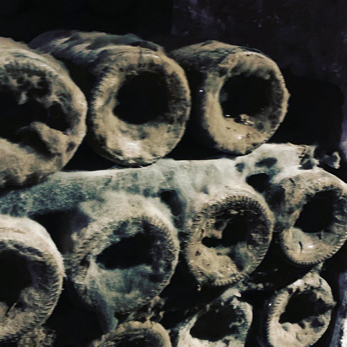 ErwinSandee's tweet photo. What an amazing experience at @Cvne seeing their Gustav Eifel designed location, being blown away by their library wine ‘cemetery’ and tasting delicious wines while learning about La Rioja grapes. #larioja #cvne #haro #winetourism https://t.co/uKyjMdEJEy