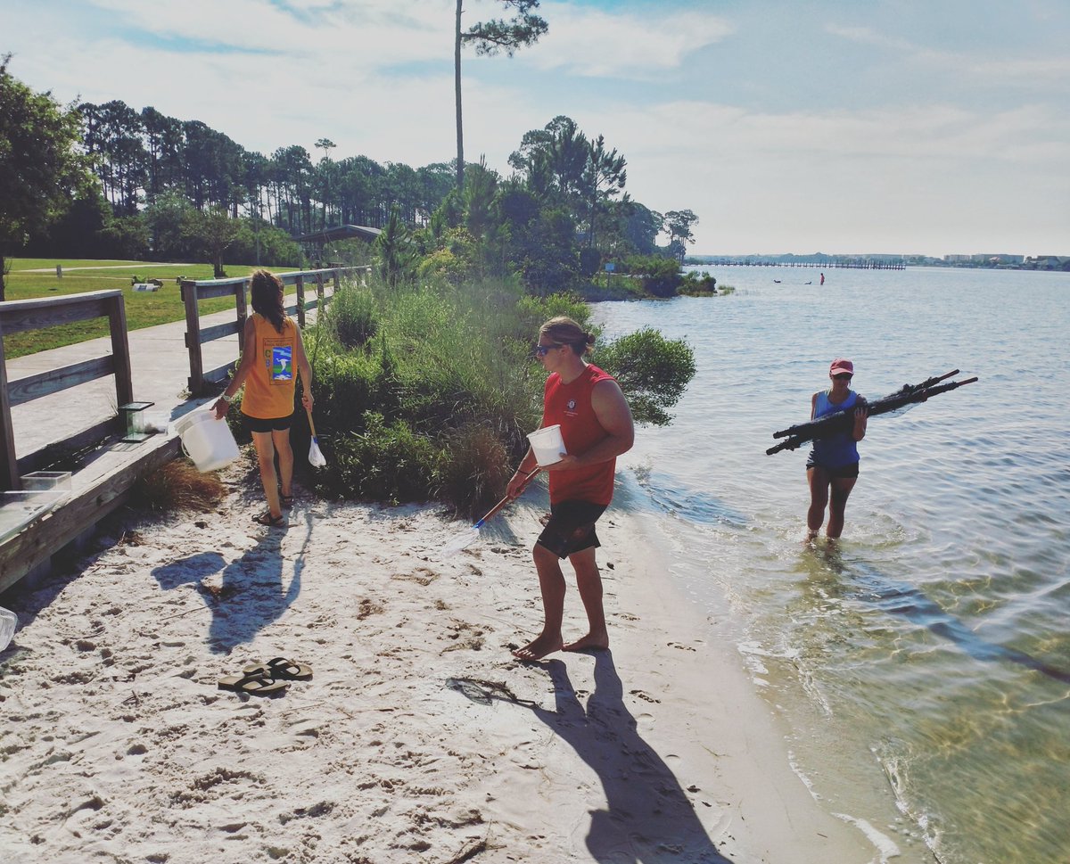 Setting up the exploration station at Liza Jackson Park! Students wade in the shallows to search for native, aquatic species as part of their end-of-year field trip. #nature #florida #education