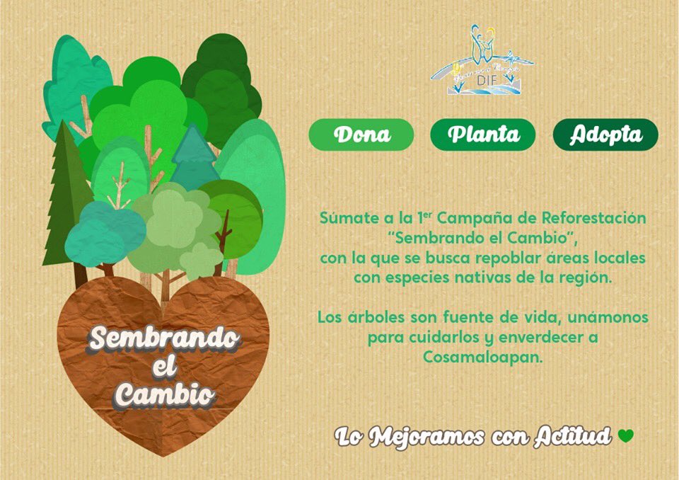 CosamaloapanDe's tweet photo. Conciencia es la solución🌳

#Planta #Dona #Adopta
#SembrandoElCambio https://t.co/LApFY6Q8iR
