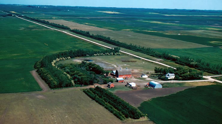 usfs_nrs's tweet image. Between 1935 &amp;amp; 1942, more than 220 million trees were planted in 33,000 #windbreaks in a swath stretching from North Dakota to Texas.  Today, @USDA @forestservice researchers &amp;amp; partners are helping states map their extent &amp;amp; location. 
go.usa.gov/xmAkU