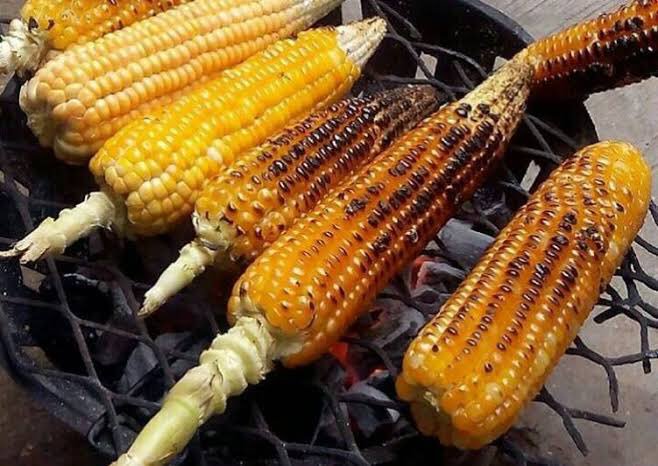 cityof_phc's tweet photo. Boiled corn or roasted corn? 

#PortHarcourt #foods #corn #city https://t.co/ejz6jSBrvi