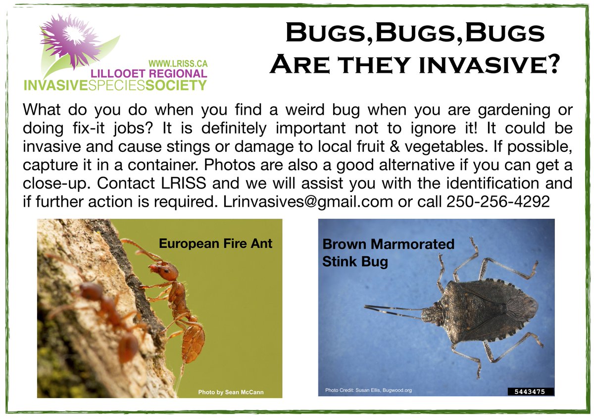 Splitrock Environmental tweet media