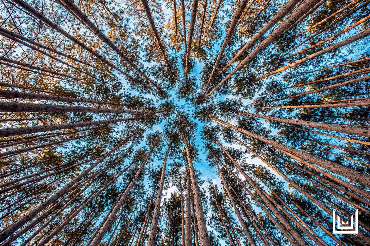 Persistent #Pain is known to create an inflammatory response. 🚨

Tips on reducing inflammation:

👉 Make time to exercise!
👉 Reduce extra weight!
👉 Manage Stress!

Manage #Inflammation and pain naturally by checking us out ✔ buff.ly/2Ko1950 #HerbalMedicine