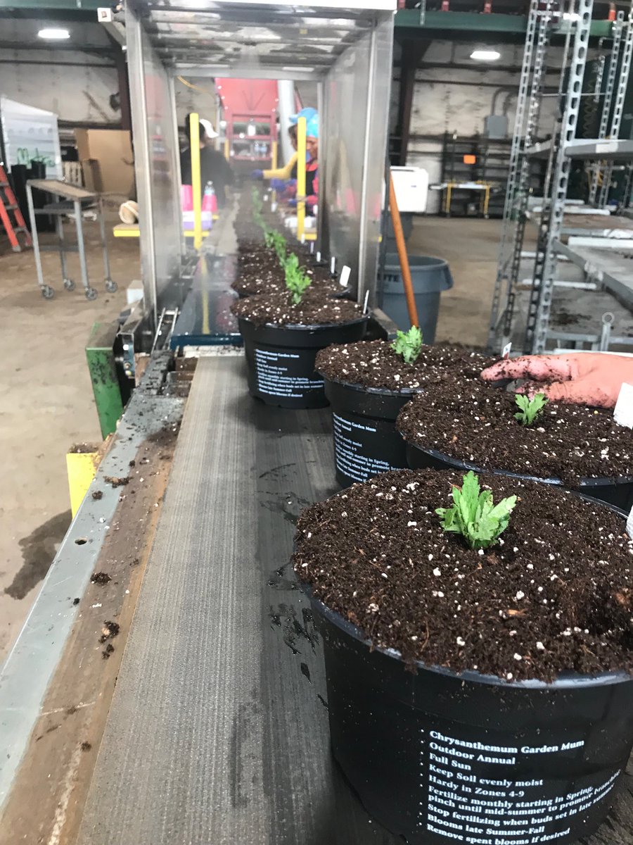 And just like that... It’s mum season!