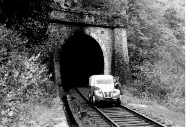 Morel Gerald tweet media