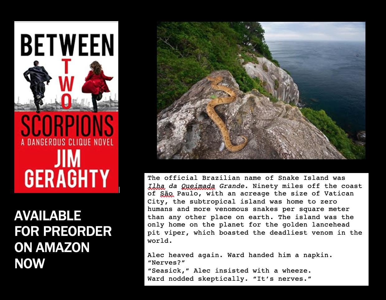 Jim Geraghty On Twitter Ilha Da Queimada Grande A K A Snake Island Is 90 Miles Off The Coast Of Brazil Home To Zero Humans More Venomous Snakes Per Square Meter Than Any