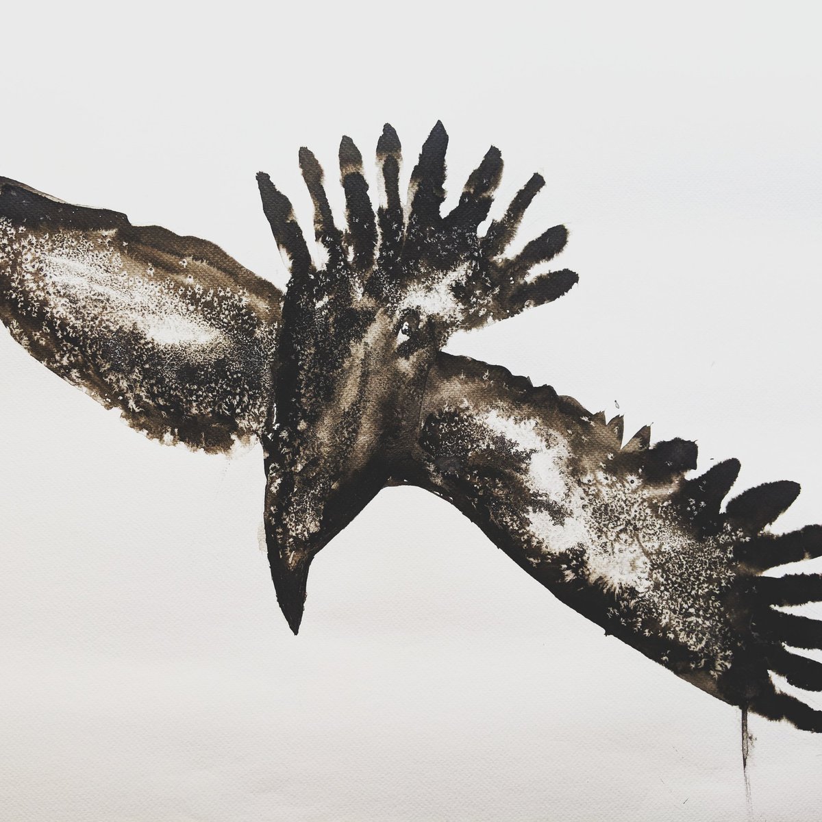 Zoomorphic Magazine tweet media