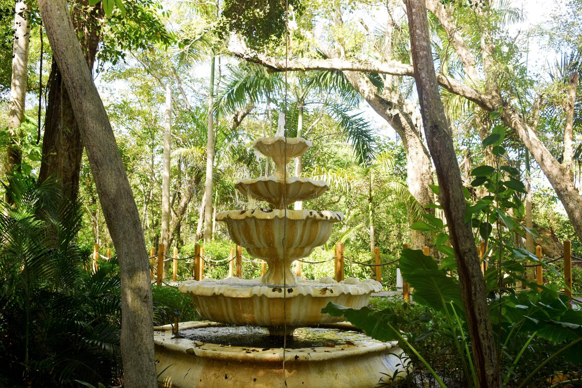 PrincessHotels's tweet photo. Walk around #BavaroPrincess gardens and you will find magic places https://t.co/z5xeiq2zuw https://t.co/8sTjUVW2xl