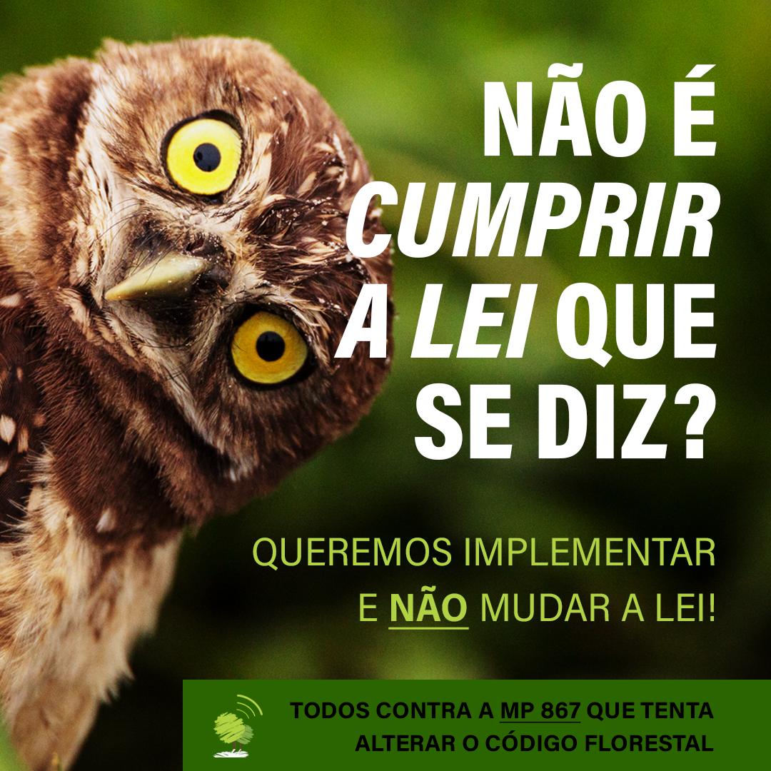 IPAM_Amazonia's tweet image. Ruralistas no @camaradeputados querem votar a MP 867, q fragiliza o #CodigoFlorestal, mesmo depois q o setor do agro, a academia, os ambientalistas e os procuradores disseram que essa é uma péssima ideia. O Brasil precisa é implementar a lei, não a mudar! #SalveOCodigoFlorestal