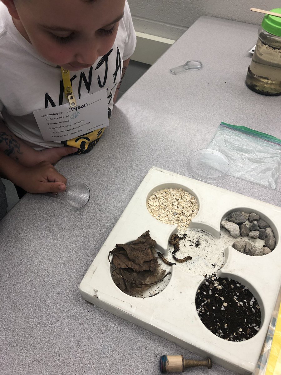 Kinder_102's tweet photo. We had such an amazing time exploring different bugs and insects during our @Sci_in_School visit! So much fun learning happening! @AngelaMericiDP https://t.co/afQpOIlk4e