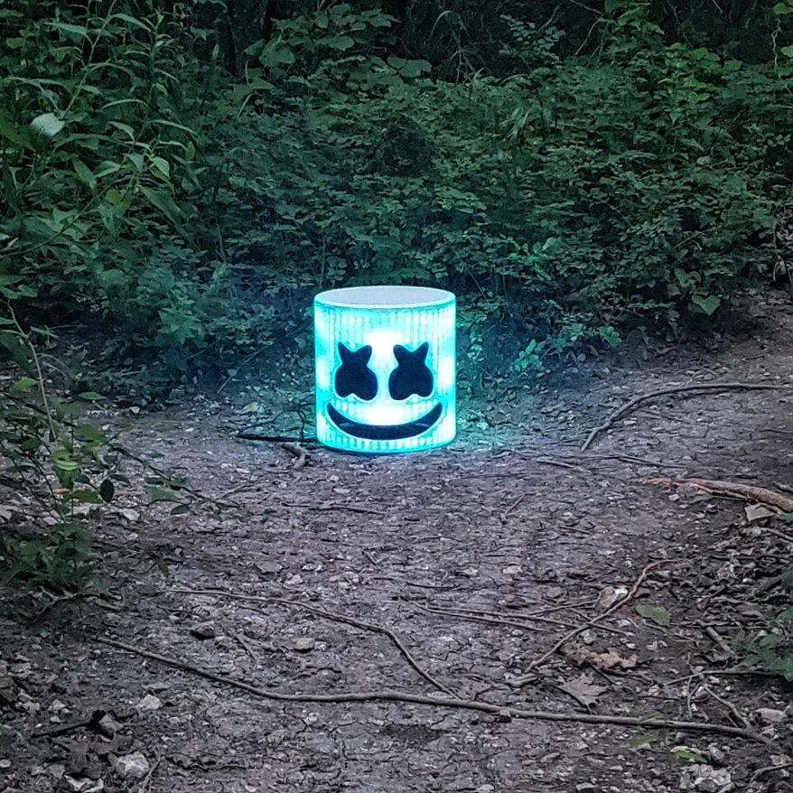 BassDropLights's tweet image. When you are at a fork in the road, follow your heart.