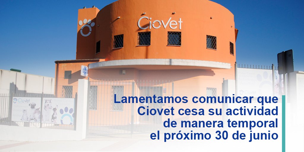 ciovet's tweet photo. Lamentamos comunicar que Ciovet cesa su actividad de manera temporal el próximo 30 de junio. 
Para más información o dudas consulte en nuestro teléfono ☎️957 623 695 o en el 💻mail info@ciovet.com
https://t.co/BQGxIJJq4M https://t.co/x6QbIJnyxm
