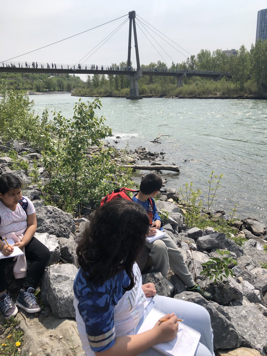 VVGrade3SP's tweet image. We are on the way home and have many sleepy students on the bus after an amazing day a Prince’s Island Park. We journaled, explored bridges/structures and studied habitats for living animals! #ThirdGradeScientists #SunnyDays 🌻🐛😎⛩