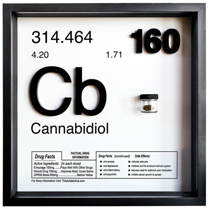 Cannabrandco's tweet photo. Did you know 60% of searches end after the buyers first click? Get your company SEO on point and listed higher on searches so your business is the first click. Cannabrand has many different options to grow your business. #Cannabismarketing 📸by  @Thisisaddictive https://t.co/R9W2JEEgN9