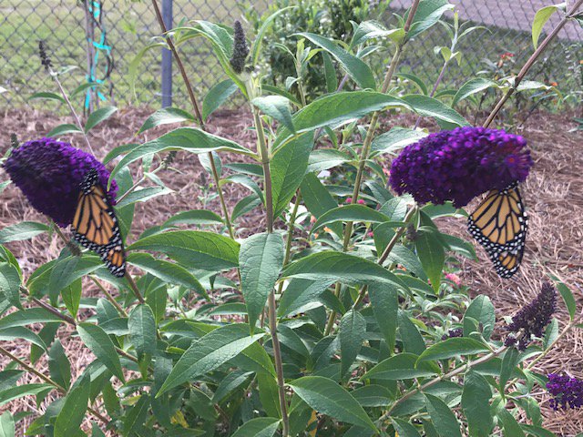 Beth West tweet media