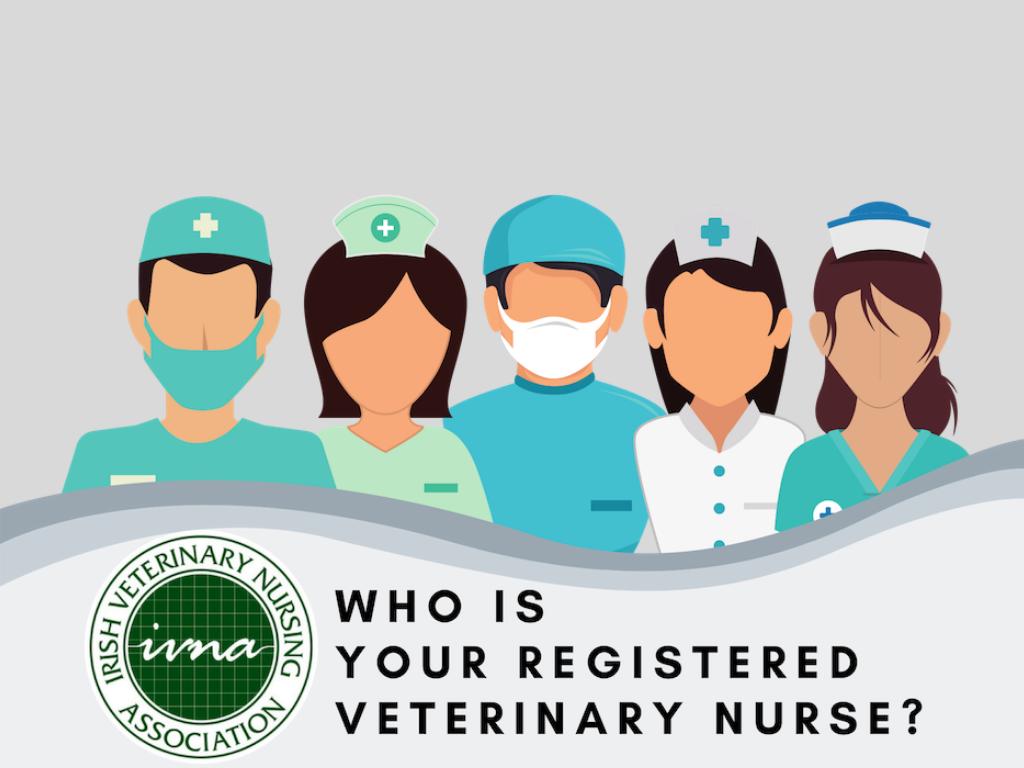 Promoting the role of the Registered Veterinary Nurse to members of the public facebook.com/whoisyourrvn/ #whoisyourrvn #ivna #whatrvnsdo