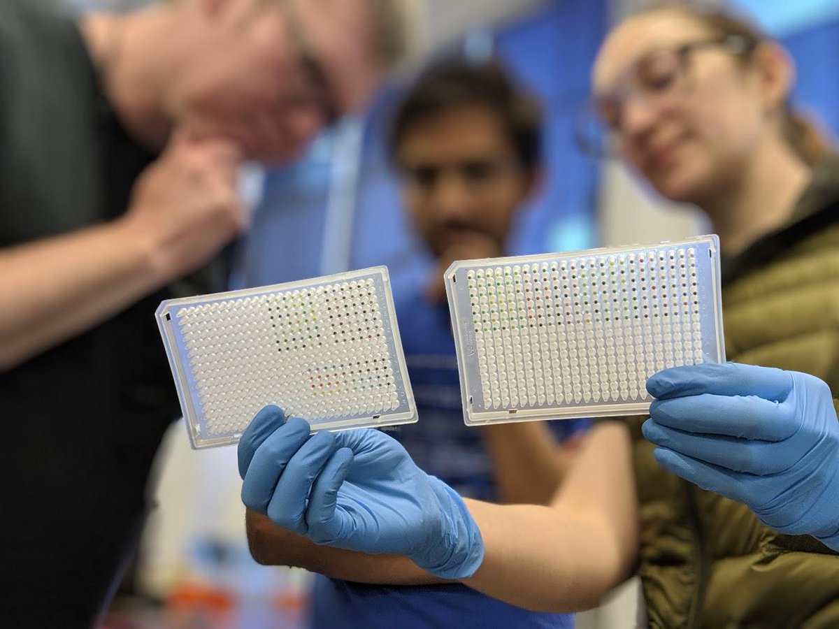 George McArthur tweet media