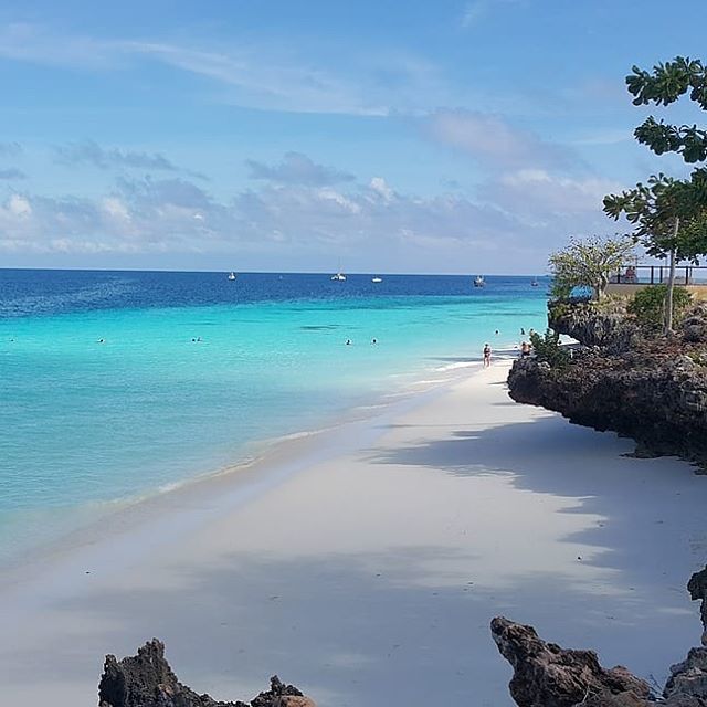 travelgiulia's tweet photo. Ti sfido: quale famosissimo CANTANTE 🎤 nacque a ZANZIBAR? 🌴
.
Non barare chiedendo a Google! 🤣
.
#travelplannergiulia #evolutiontravel https://t.co/oxXygPtJnr https://t.co/W6fAwX1nVf