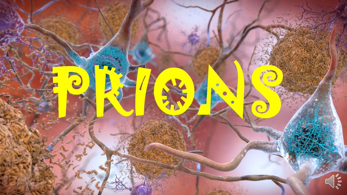 KmdWith's tweet image. This video is from my youtube channel: Life sciences with KMD. To view this video please visit my channel.