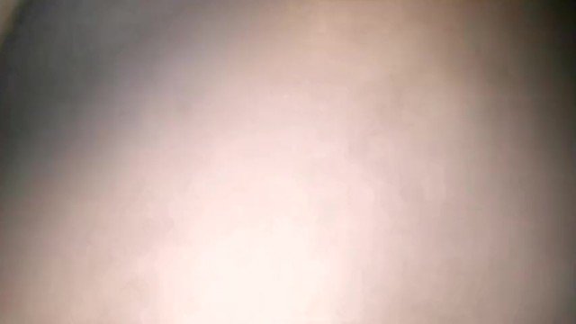 OfficialTrinit2's tweet photo. Fresh video on PornhubModels - get it while it's hot: https://t.co/D4mpPywDpA https://t.co/3mR9CnUVfZ