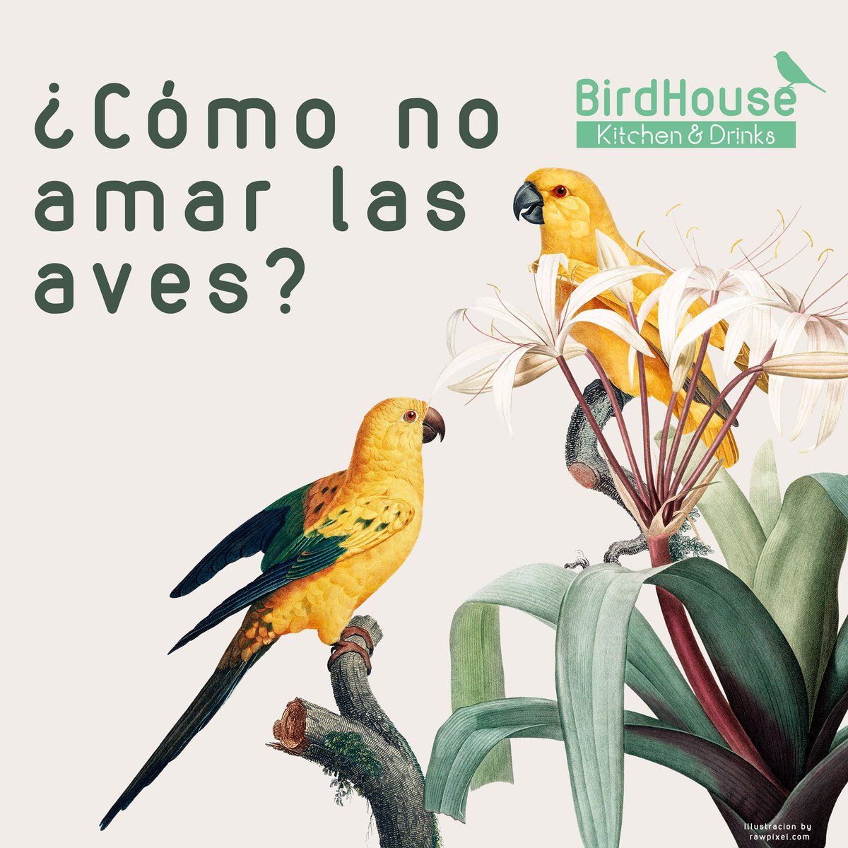 birdhousecol's tweet photo. Muy pocas cosas se comparan con encontrar un ave en su hábitat... ese día te enamorarás. 😍😍😍  #avistamientodeaves #globalbigday #colombia #birdhousekitchen https://t.co/9SapgBLiUT