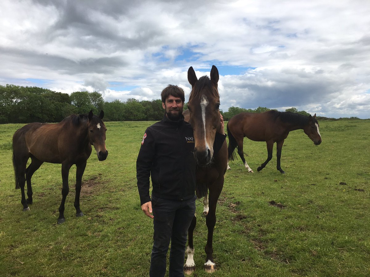 BDR Syndicates tweet media