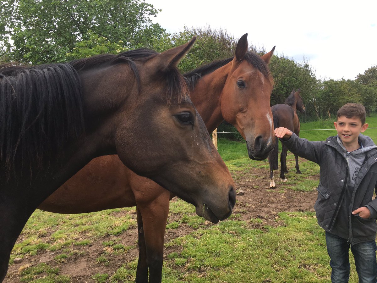 BDR Syndicates tweet media