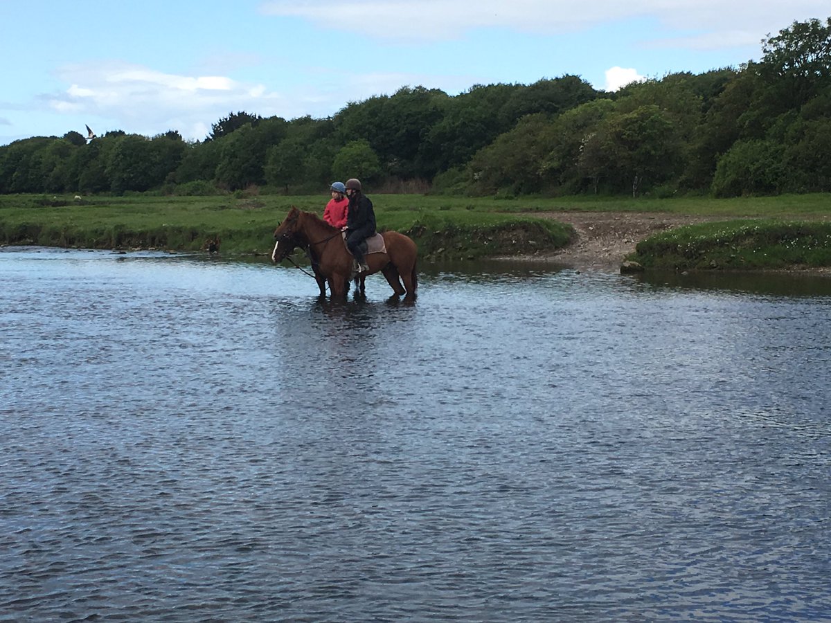 BDR Syndicates tweet media