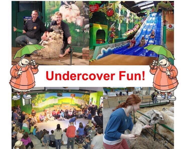 bigsheepdayout's tweet photo. When the forecast is for some rain - good to head to one of the SW’s biggest all weather attractions - indoor shows, animals, indoor play, award winning food &amp; drink &amp; 20% off if you book online ! https://t.co/K9bDBaiXA9 https://t.co/T5YntWYErs