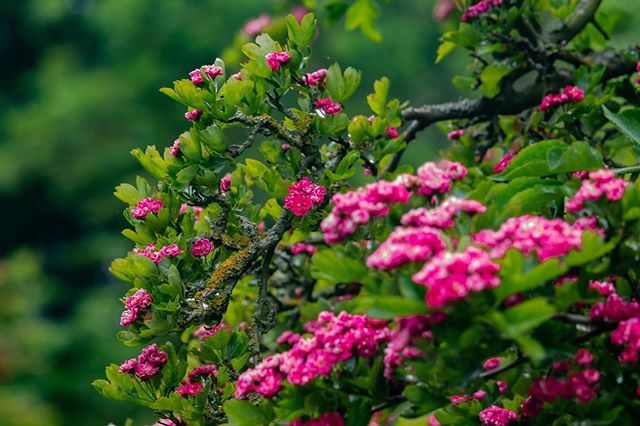 seekAnotherLife's tweet photo. Been gone a week... I have photos!
.
.
.
.
.
.
.
#photography #photooftheday #landscapephotography #landscape #createxplore #discoverearth #instatravel #instatravelling #igtravel #canon #canon_photos #canonphotography #pictureoftheday #photographylovers … https://t.co/jlAUXzfEqo https://t.co/vcq1CzUdZR
