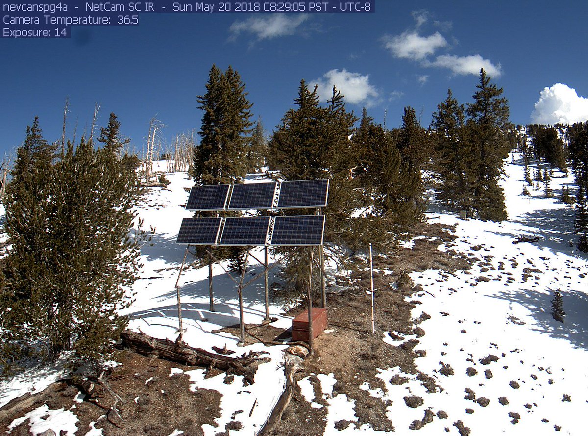 scottysci's tweet photo. #Spring19 will be remembered in east #Nevada! Deep #snow conditions persisting at upper elevations compared to previous 2 years. Last time snow was this deep at this site in May was 2011. #Phenocam photos from @unevadareno @DRIScience #NevCAN network for today '19, '18, '17: https://t.co/Uti7275r2U