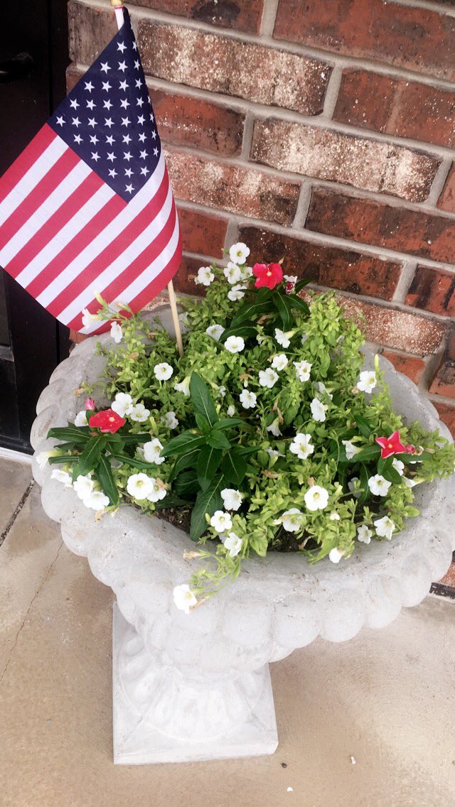 Thanks Carolyn Zagonel for planting flowers outside our office. Looks so nice!