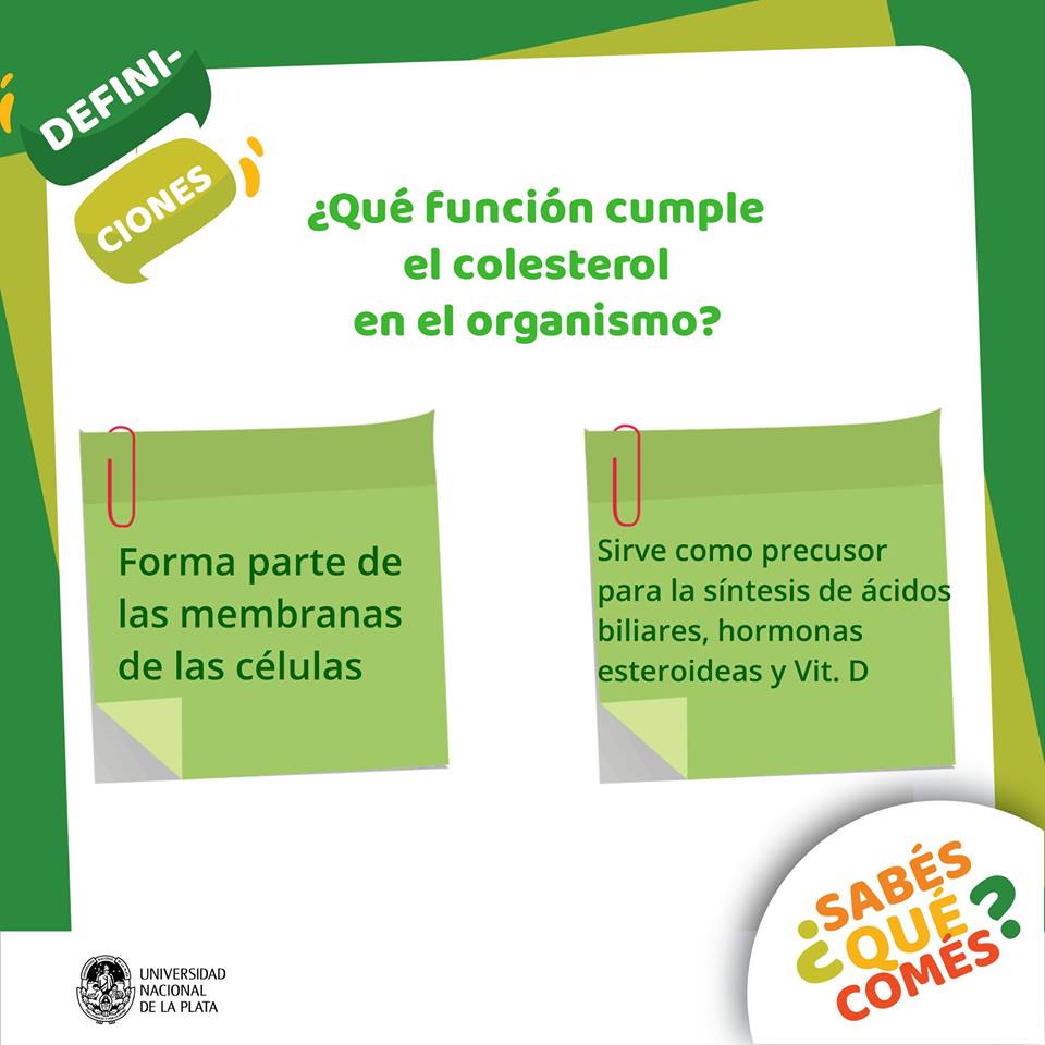SQCunlp's tweet photo. A veces relacionamos el colesterol con algo negativo. Descubri que tiene funciones beneficas para el organismo...
#Colesterol #AlimentaciónConsiente #Alimentación #Salud #VidaSaludable #Bienestar #Ciencia #SQCUNLP #UNLP #Exactas https://t.co/sJrBCpe5ei