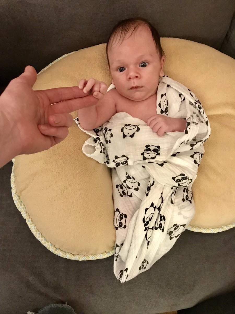 Oli Gardner tweet media