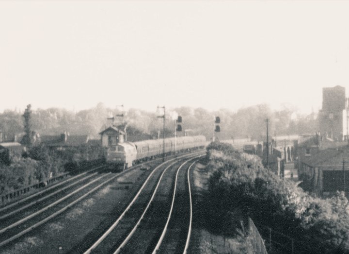 RailwayCentral's tweet image. #Class52 #D1000 "#WesternEnterprise" approaching #Chester General Summer 62 with the #Paddington - #Birmingham - #Wolverhampton - #Shrewsbury - #Chester - #Birkenhead (Woodside) Apx 7pm Rtn 21:45 with sleeper service.... 📸#DavidFaircloth