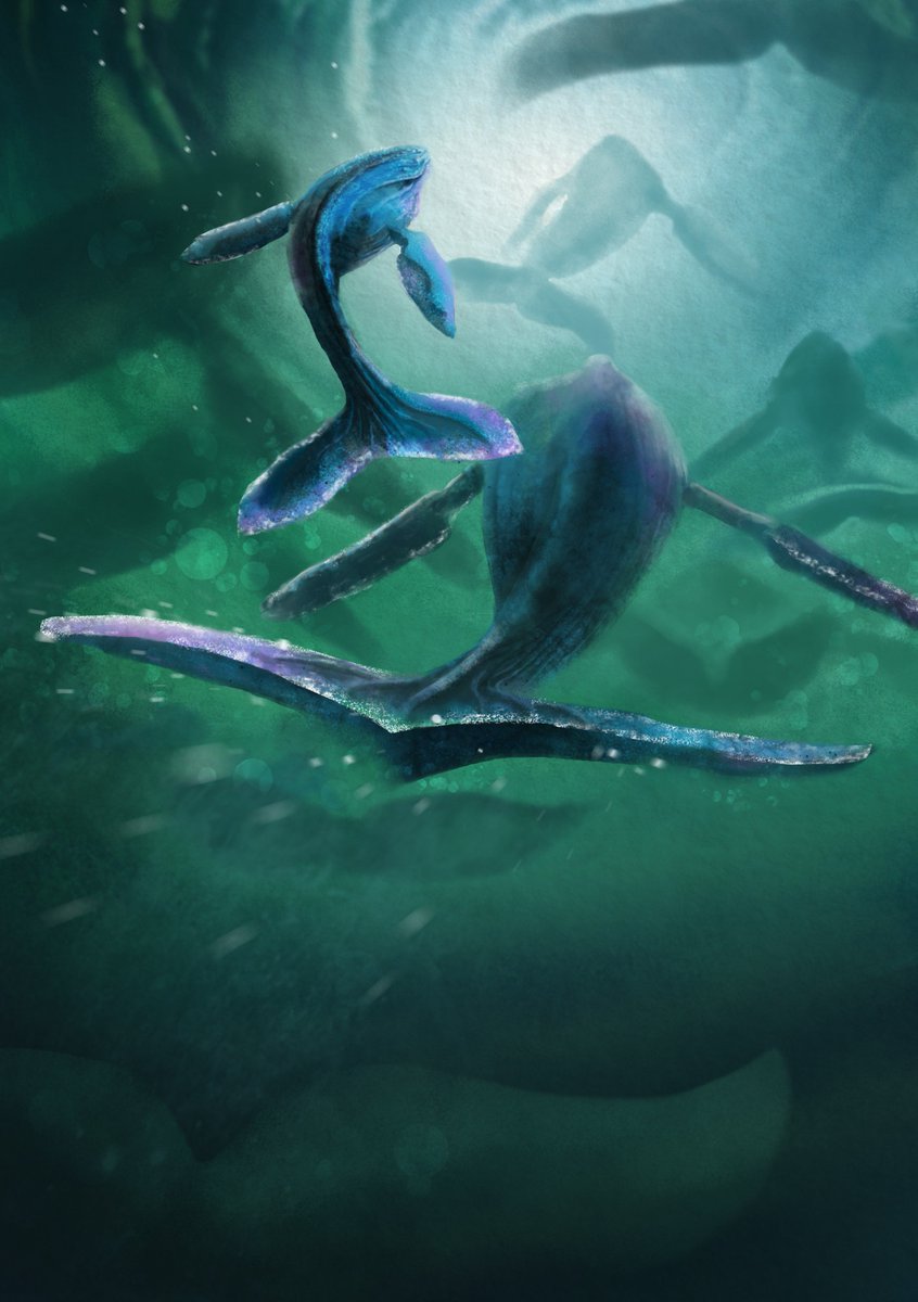 Dominic Crapuchettes on BlueSky tweet media