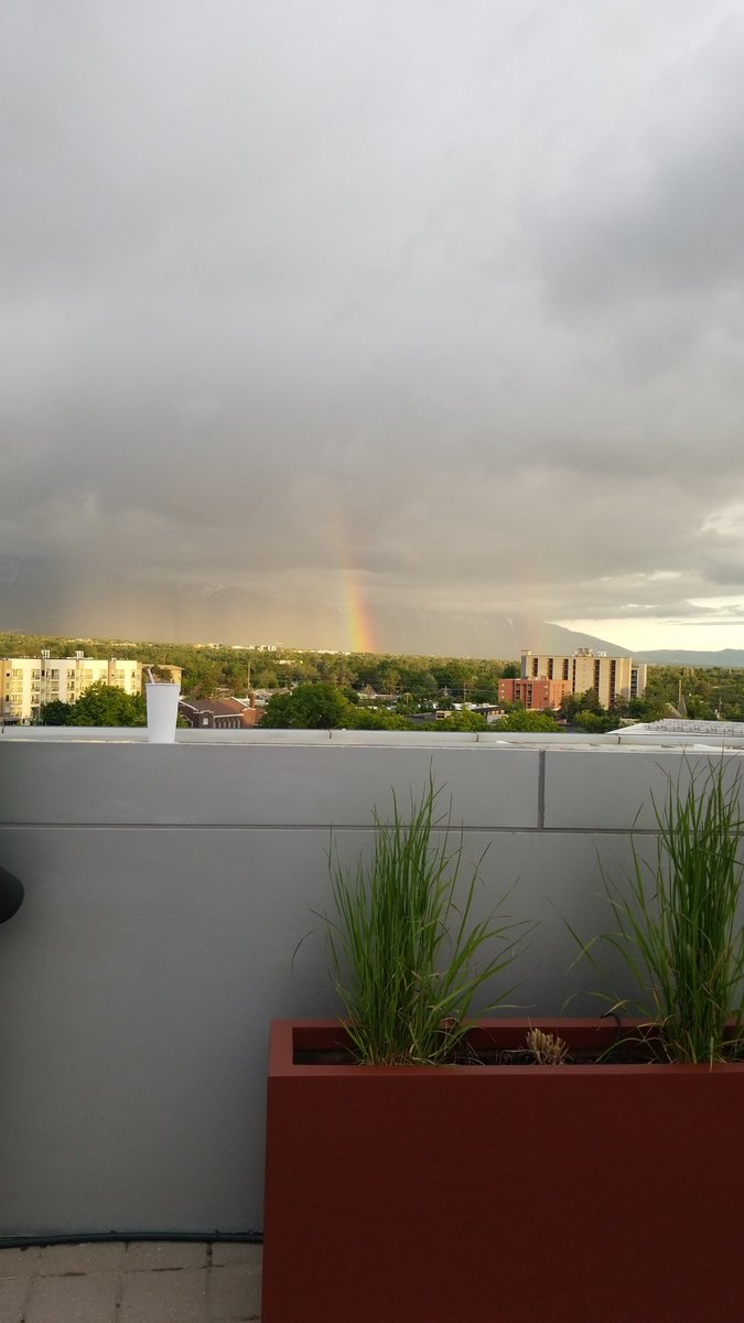 kiki2185's tweet image. Beat the rain #slcpl #slpy