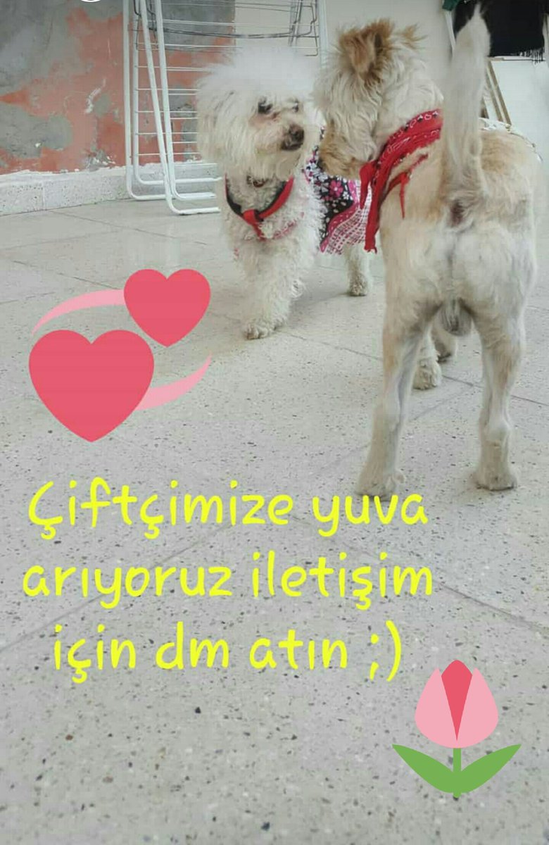 Hayatınıza renk katın :)
